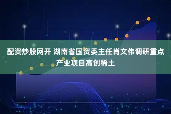 配资炒股网开 湖南省国资委主任肖文伟调研重点产业项目高创稀土
