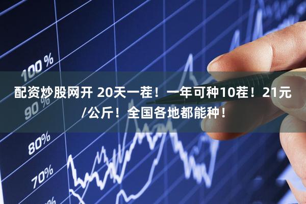 配资炒股网开 20天一茬！一年可种10茬！21元/公斤！全国各地都能种！